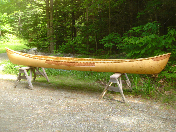 Side view of Fern Forest