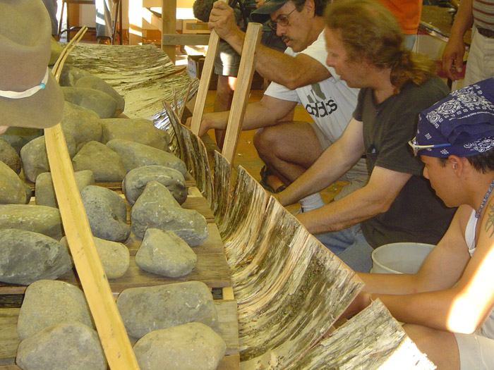 Staking up bark around gunwale form, note gore cuts