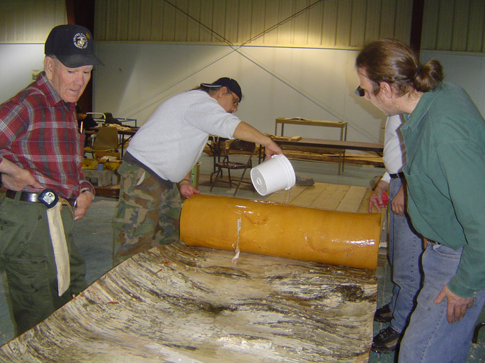 Unrolling bark